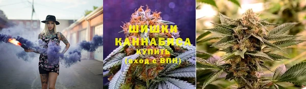 ПСИЛОЦИБИНОВЫЕ ГРИБЫ Алзамай
