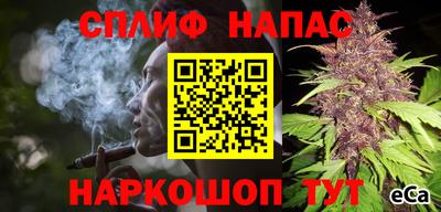 гидра Рузаевка