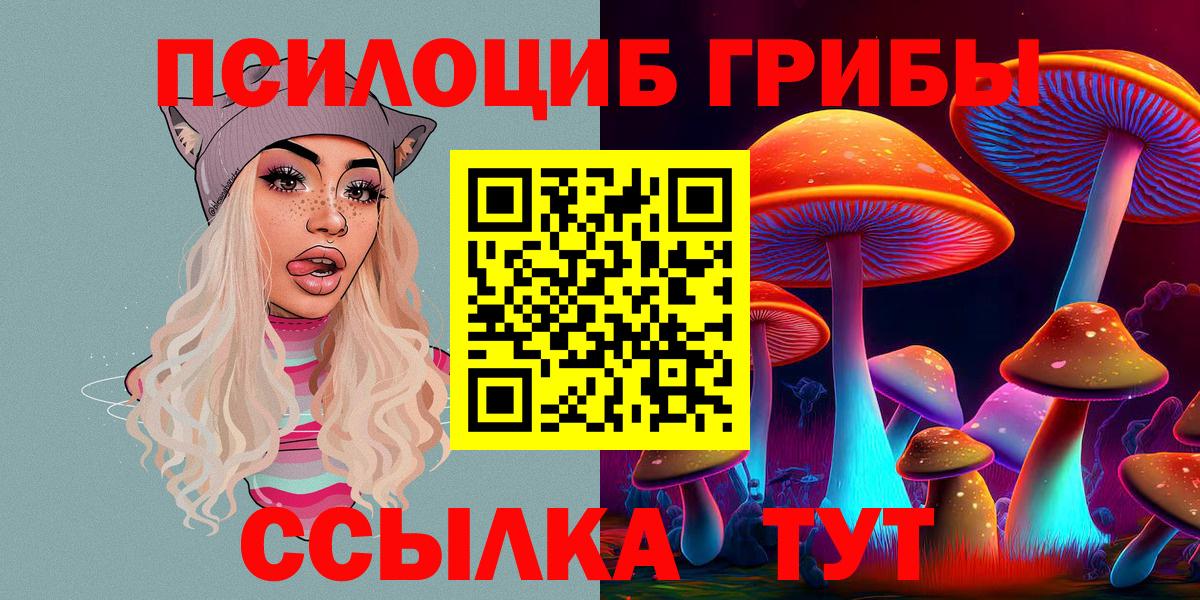 Галлюциногенные грибы Cubensis  Вход с VPN  Сунжа 