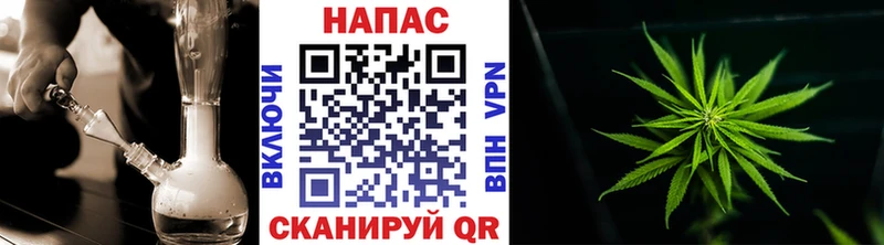 Шишки марихуана марихуана  Сунжа 