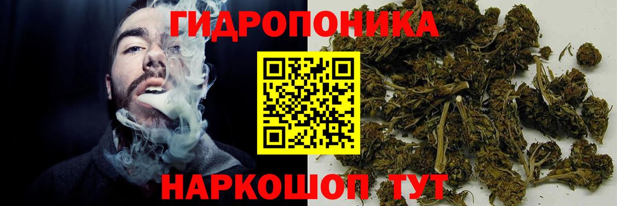 Марихуана тримм Сунжа